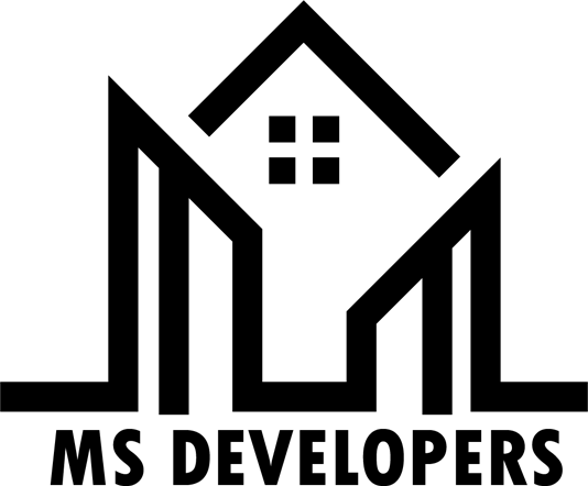 ms developers